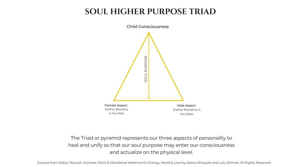 Unique Trinity Unique Trinity