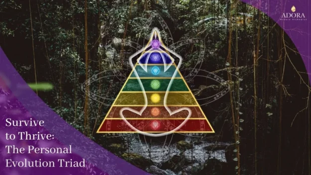 Survive to Thrive: The Personal Evolution Triad