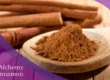 The Alchemy of Cinnamon — Featured Image