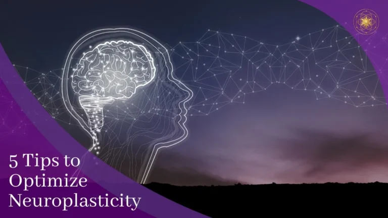 5 Tips to Optimize Neuroplasticity