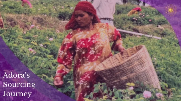 My Journey to Sourcing the Purest Aromatics