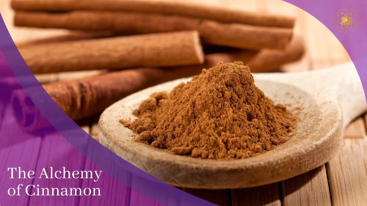 The Alchemy of Cinnamon — Featured Image