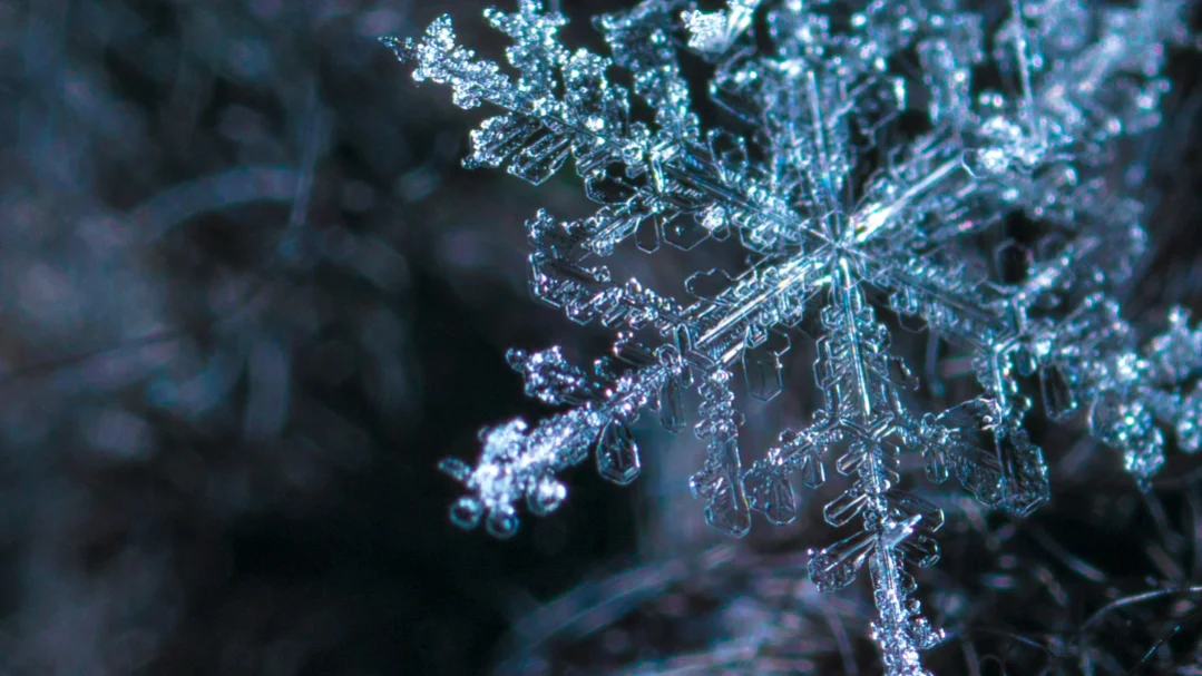 The Sacred Pause: Why Winter Calls Us to Rest — Featured Image The Sacred Pause: Why Winter Calls Us to Rest