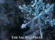 The Sacred Pause: Why Winter Calls Us to Rest