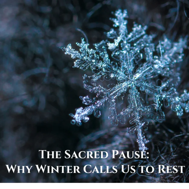 The Sacred Pause: Why Winter Calls Us to Rest