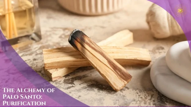 The Alchemy of Palo Santo: Purification — Featured Image
