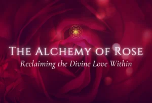 The Alchemy of Rose