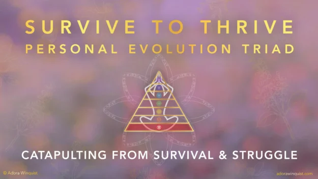 Survive to Thrive
